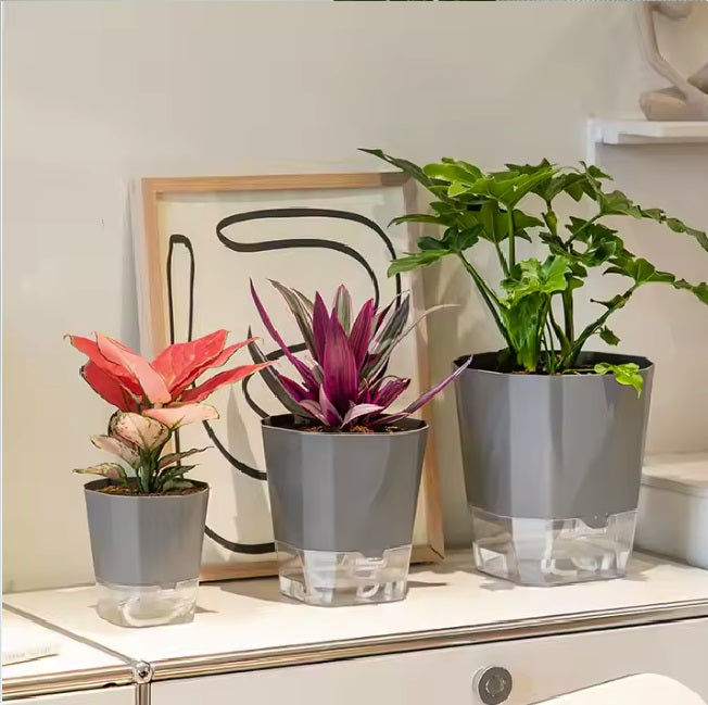 Self Absorbing Pots - Modern design