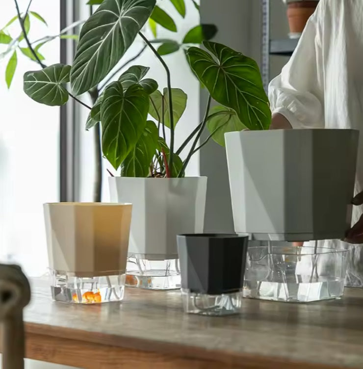 Self Absorbing Pots - Modern design