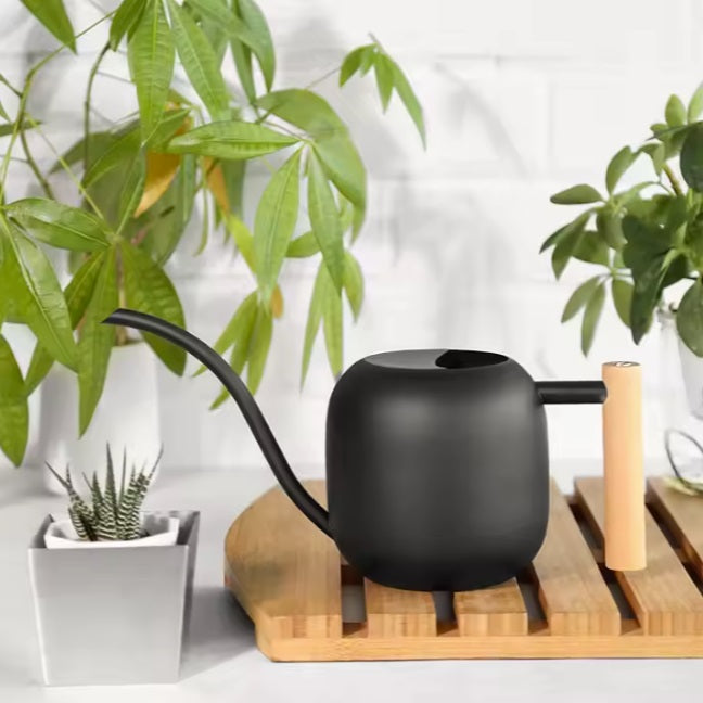 Decorative round-edged Watering Kettle