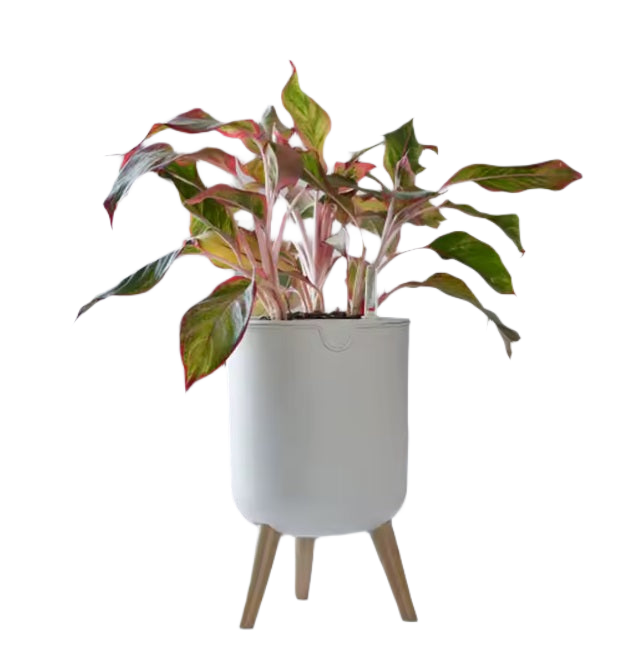 Self Watering Pots - with Legs
