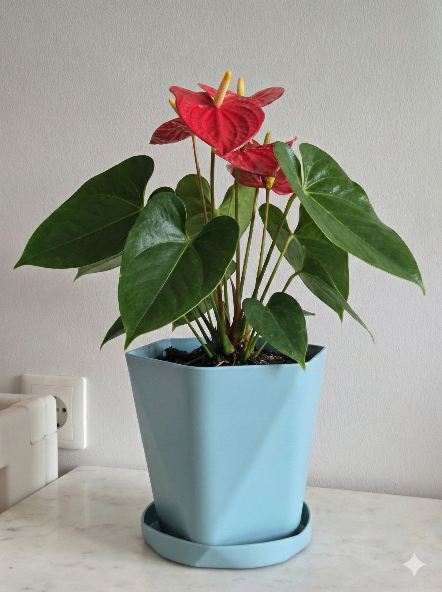 Multicolor decorative pots