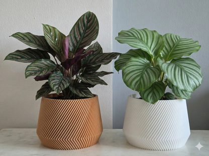 The infinite lines - Designer Collection