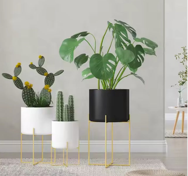 Luxe Metallic Trio