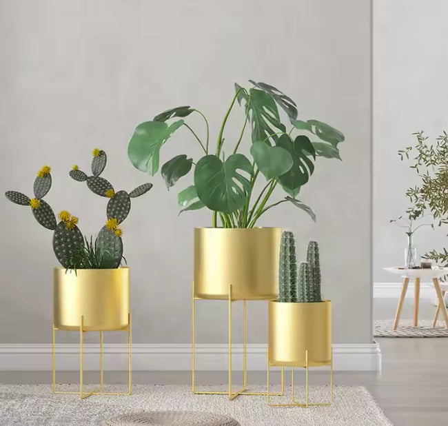 Luxe Metallic Trio