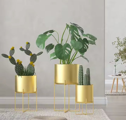 Luxe Metallic Trio