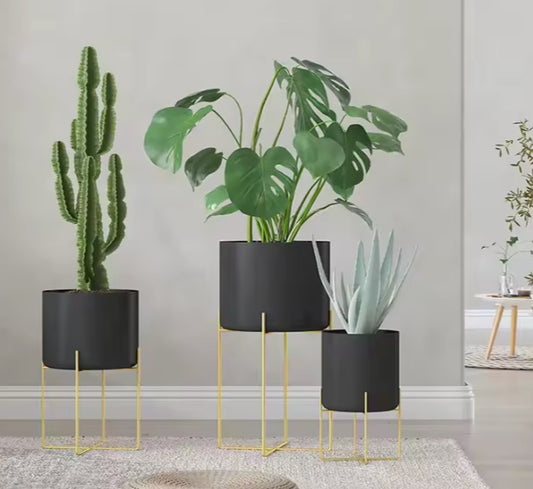 Luxe Metallic Trio