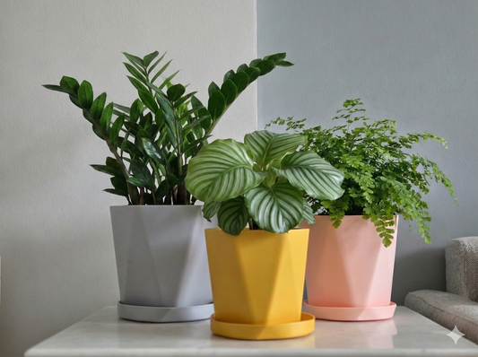 Multicolor decorative pots