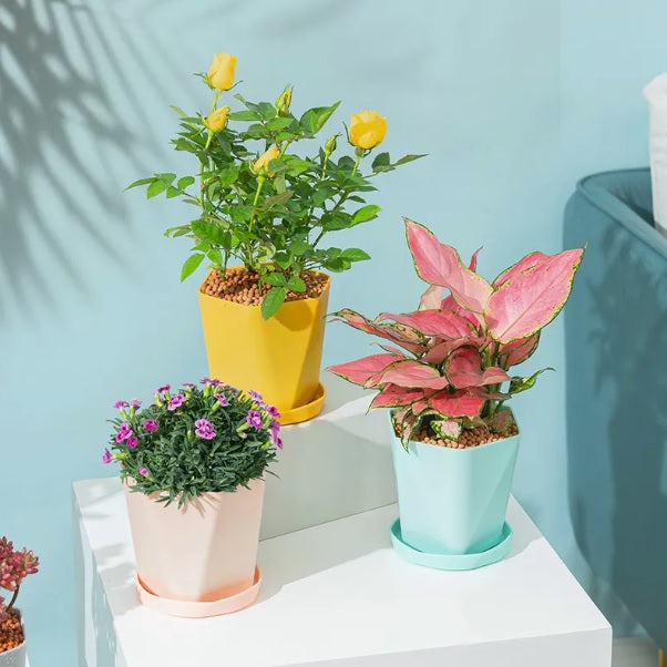 Multicolor decorative pots