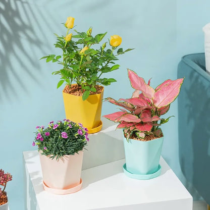 Multicolor decorative pots