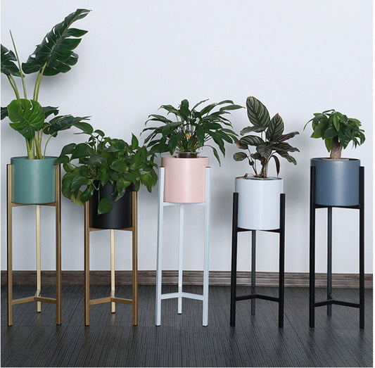 Chroma Stand Collection
