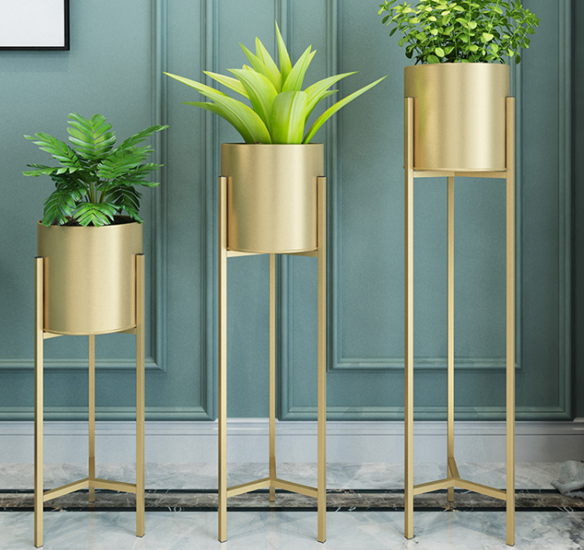 Chroma Stand Collection