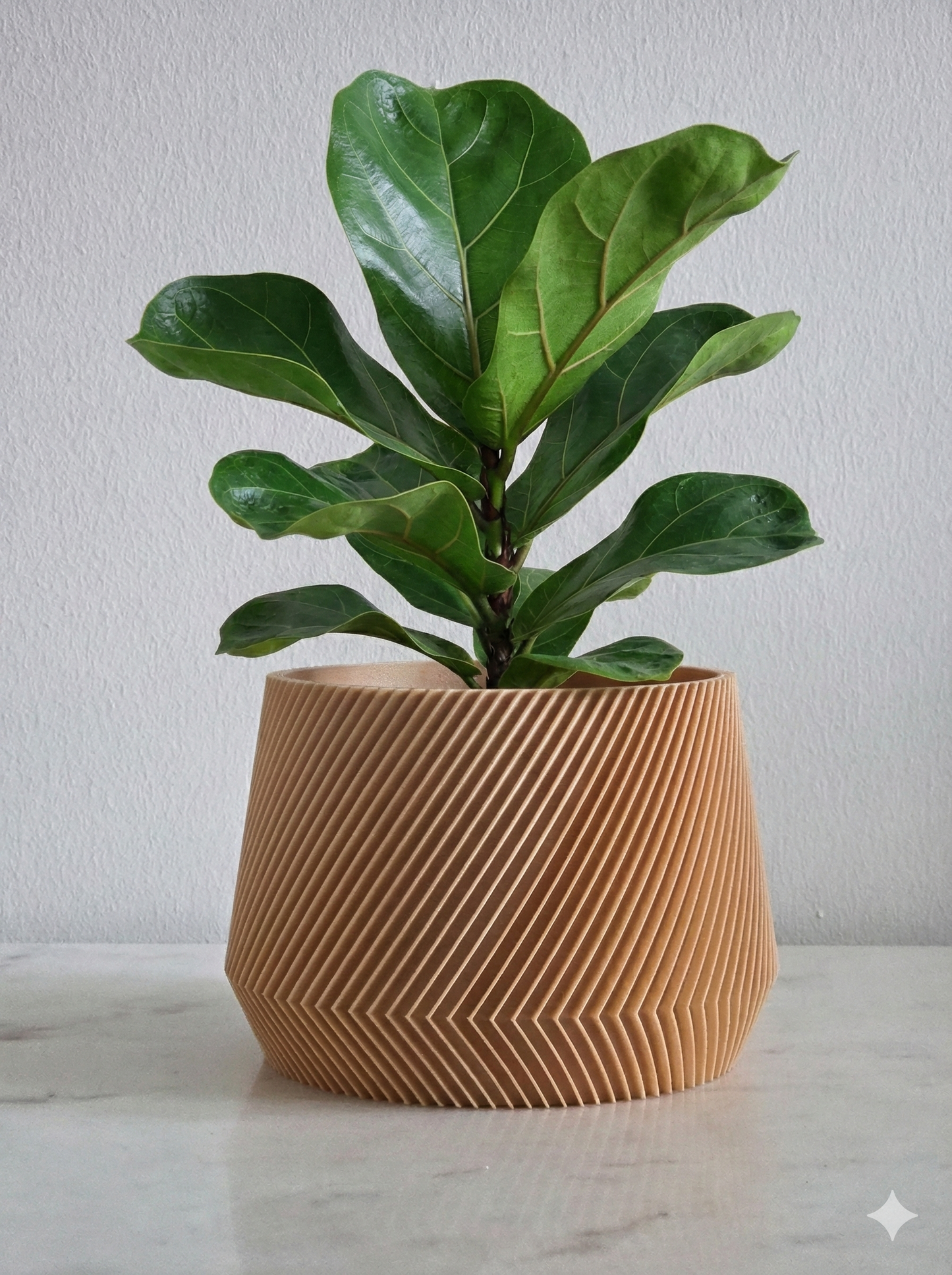 The infinite lines - Designer Collection