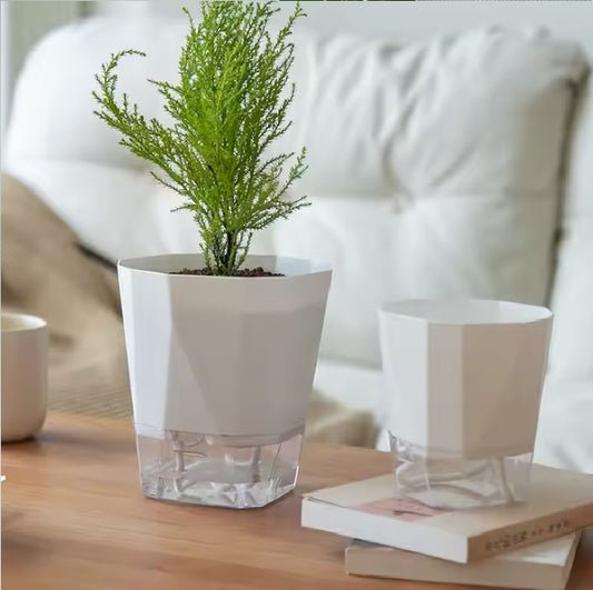 Self Absorbing Pots - Modern design
