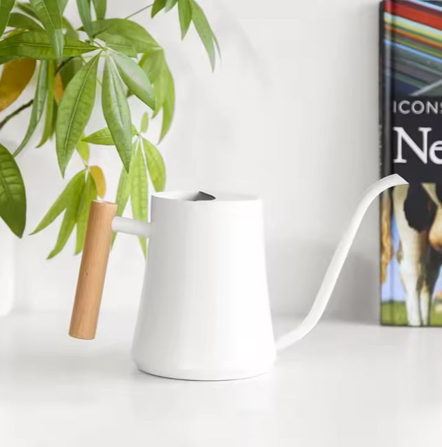 Decorative straight-edged Watering Kettle