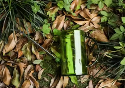 Transparent Green Watering Can