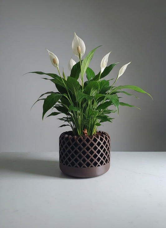 Diamonds - Designer Collection